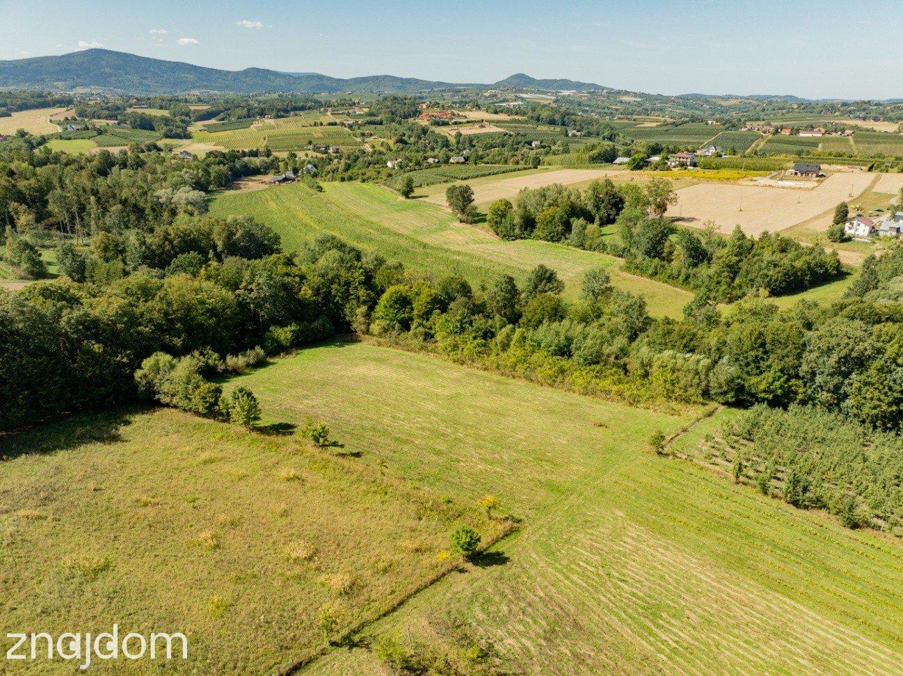 Działka rolno-leśna, 1,56 ha, Sadek, Jodłownik - zdjęcie 14