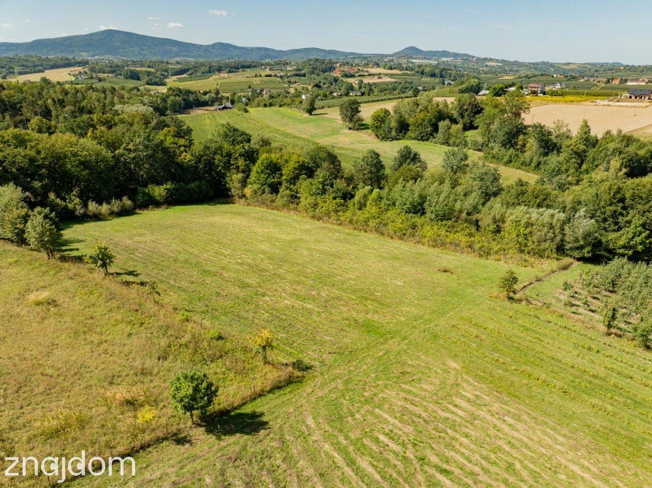 Działka rolno-leśna, 1,56 ha, Sadek, Jodłownik - zdjęcie 15