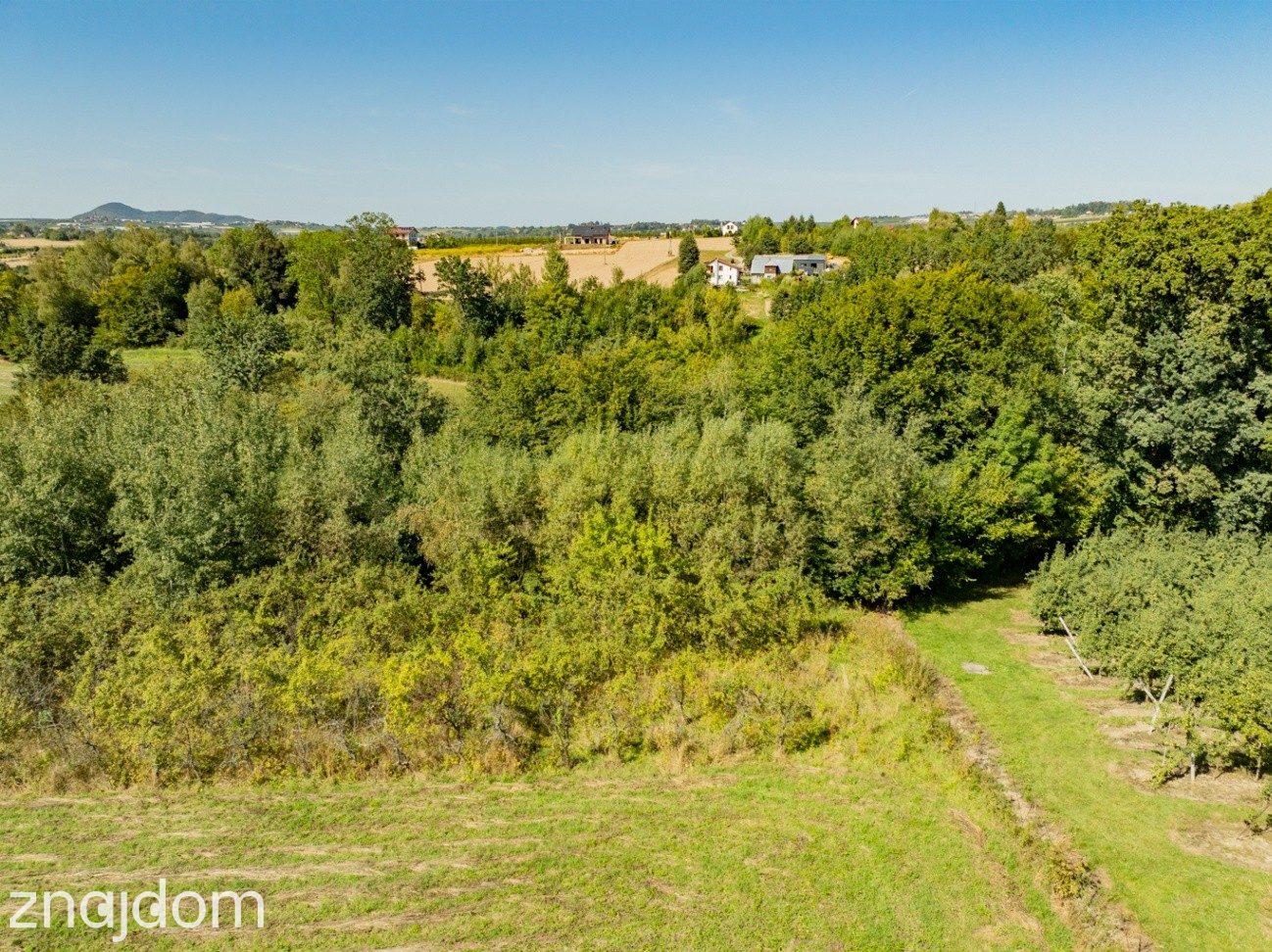 Działka rolno-leśna, 1,56 ha, Sadek, Jodłownik - zdjęcie 17