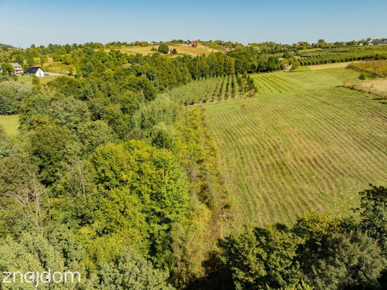 Działka rolno-leśna, 1,56 ha, Sadek, Jodłownik - zdjęcie 18