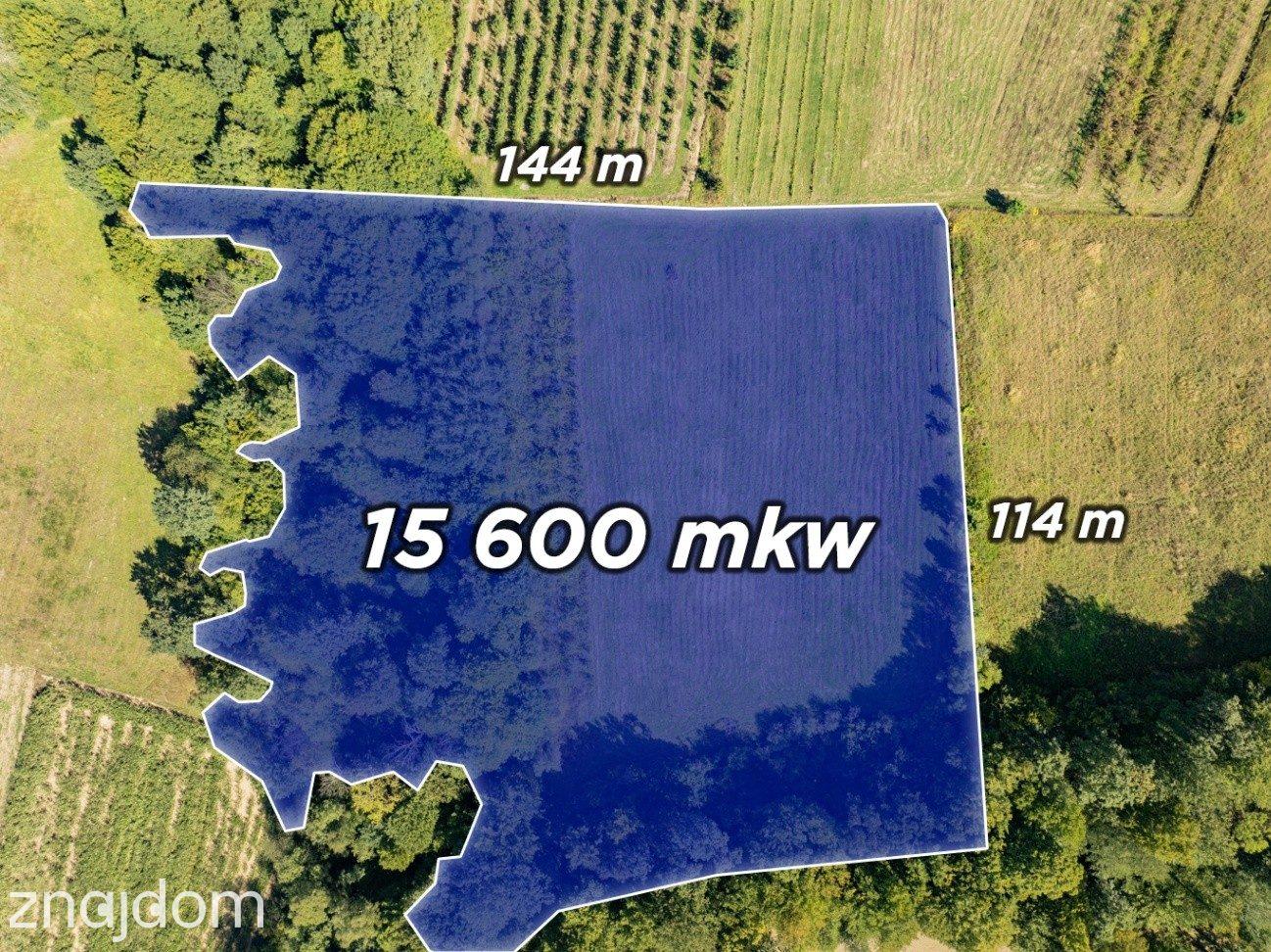 Działka rolno-leśna, 1,56 ha, Sadek, Jodłownik - zdjęcie 2