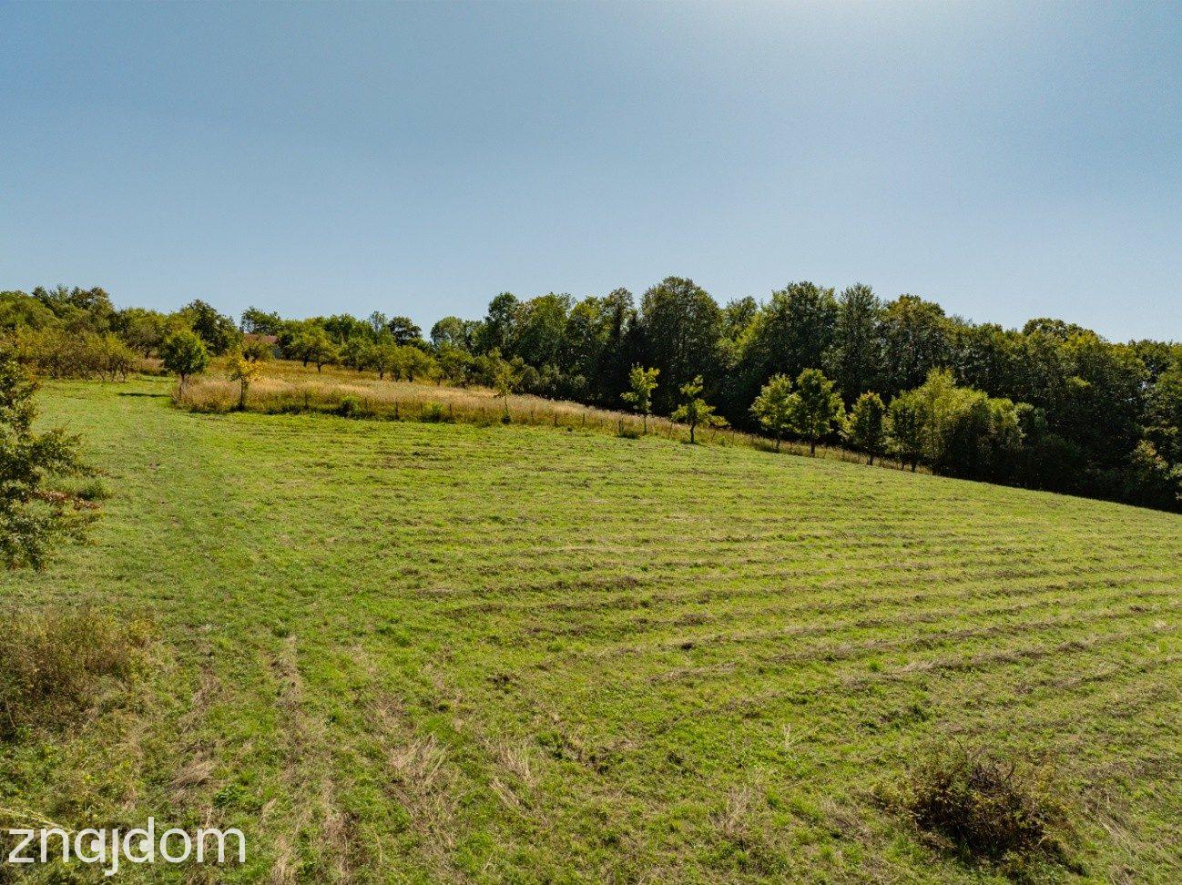 Działka rolno-leśna, 1,56 ha, Sadek, Jodłownik - zdjęcie 21
