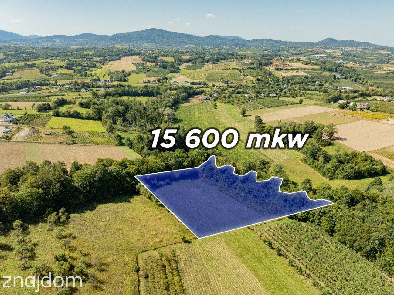 Działka rolno-leśna, 1,56 ha, Sadek, Jodłownik - zdjęcie 3