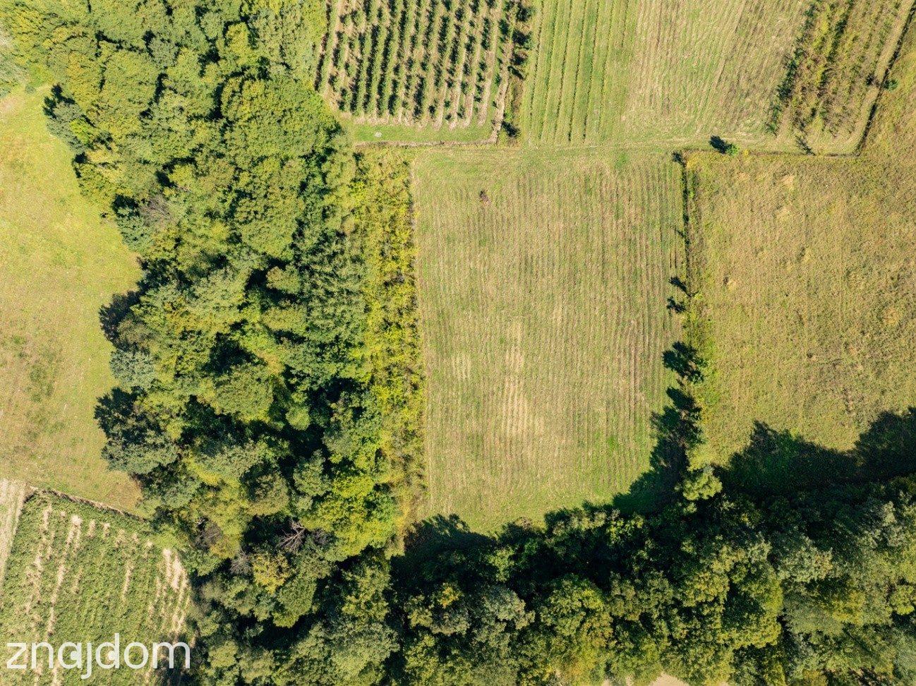 Działka rolno-leśna, 1,56 ha, Sadek, Jodłownik - zdjęcie 4