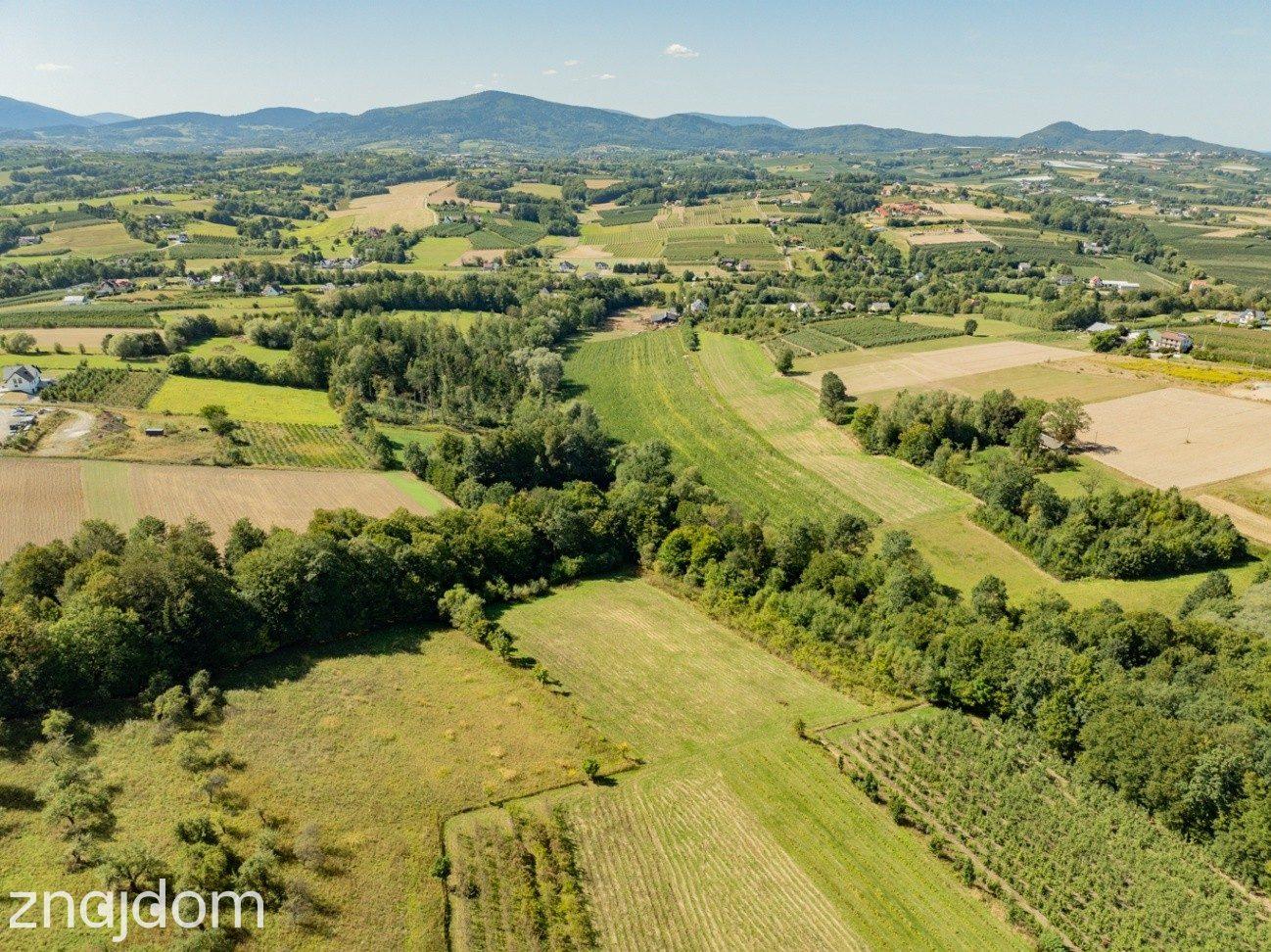 Działka rolno-leśna, 1,56 ha, Sadek, Jodłownik - zdjęcie 6