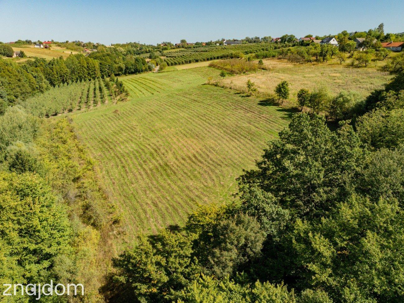 Działka rolno-leśna, 1,56 ha, Sadek, Jodłownik - zdjęcie 7