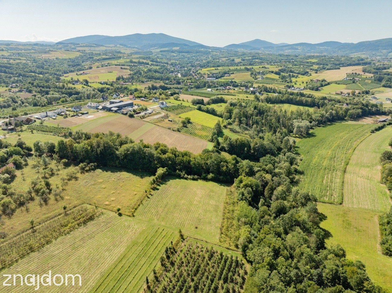 Działka rolno-leśna, 1,56 ha, Sadek, Jodłownik - zdjęcie 8