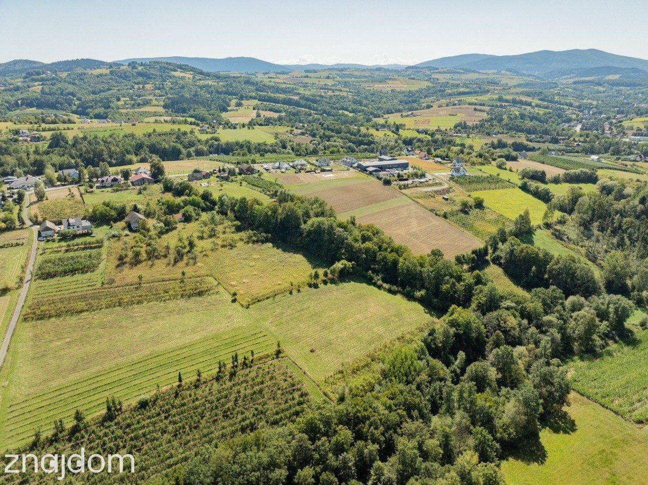 Działka rolno-leśna, 1,56 ha, Sadek, Jodłownik - zdjęcie 9