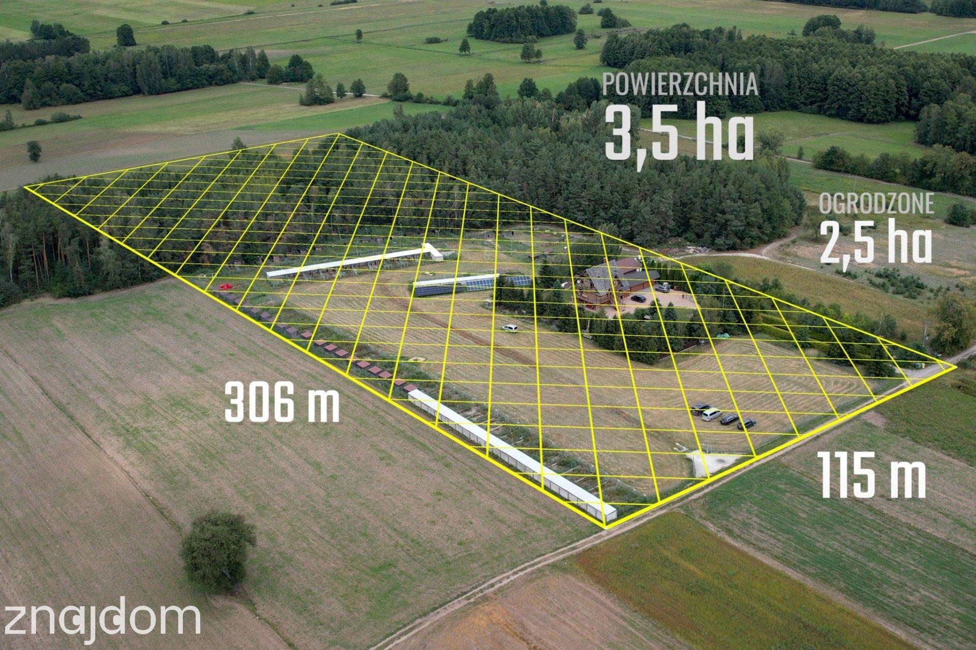 Podhalańskie siedlisko 3,5 ha w sercu Mazowsza - zdjęcie 2