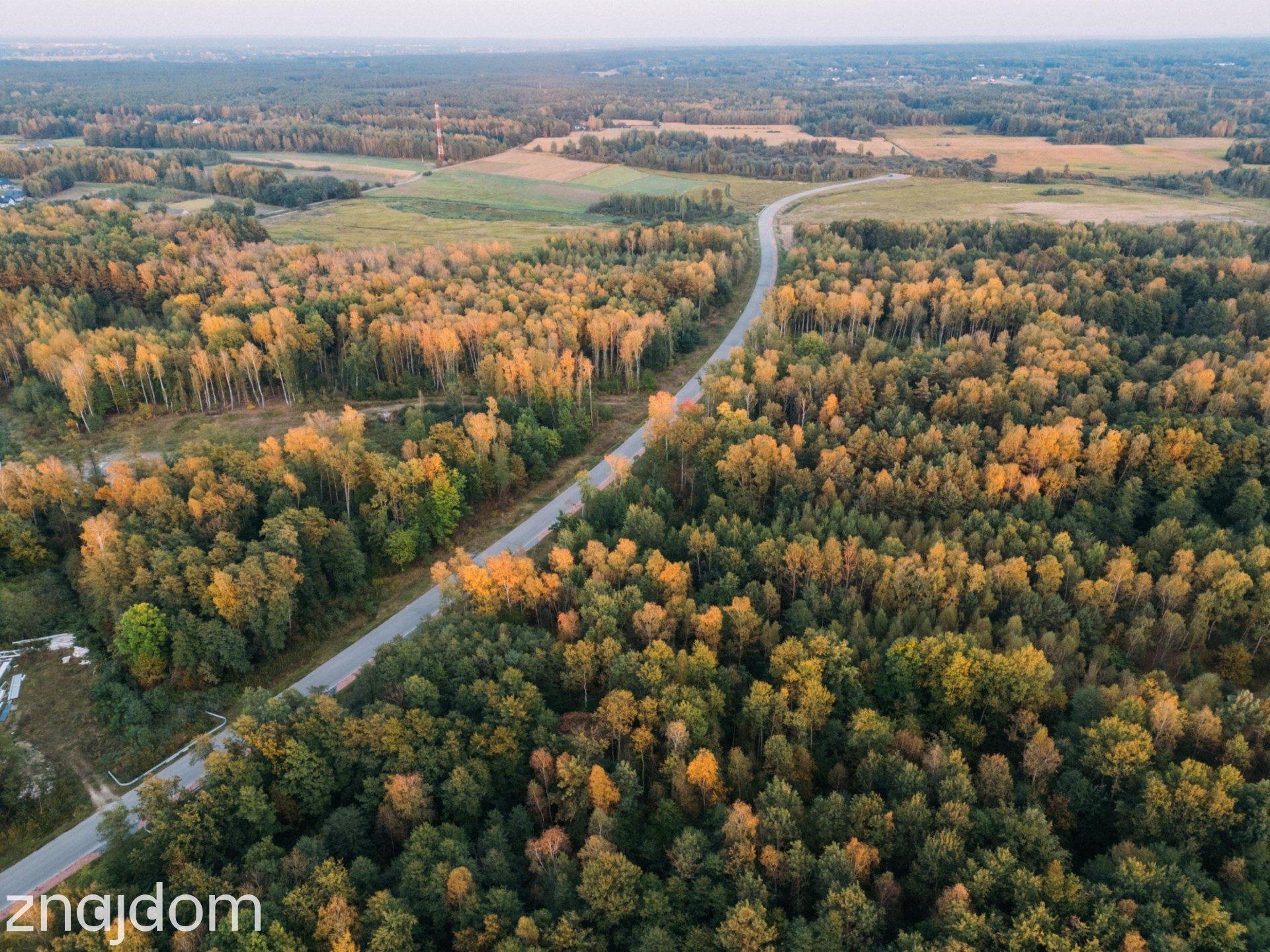 Działka przemysłowa | 5,5 HA | Podborze | Mielec | Strefa ekonomiczna - zdjęcie 28