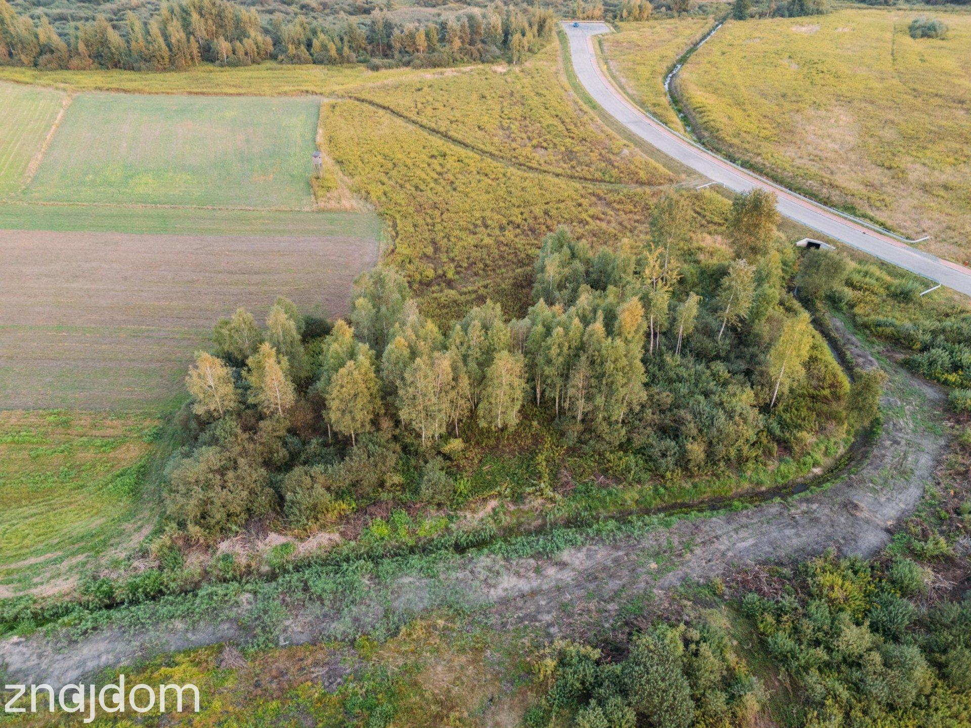 Działka przemysłowa | 5,5 HA | Podborze | Mielec | Strefa ekonomiczna - zdjęcie 31