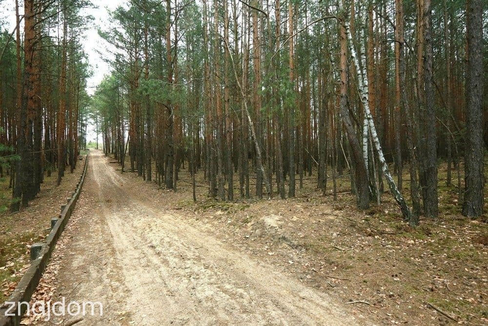 Działka inwestycyjna - zdjęcie 2