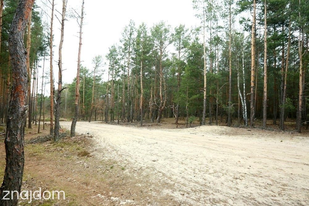Działka inwestycyjna - zdjęcie 2