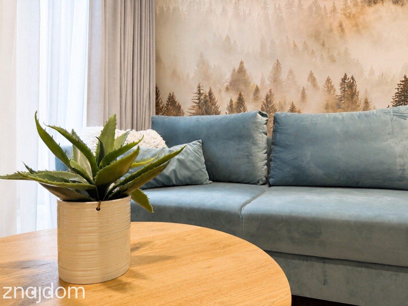 Apartament premium z ogródkiem | SPA | Zakopane - zdjęcie 3