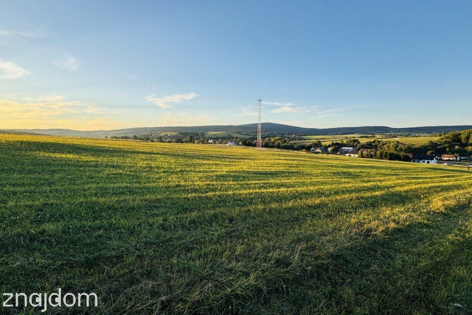 Działka 99a, rol-bud, Smerekowiec, Uście Gorlickie - zdjęcie 10