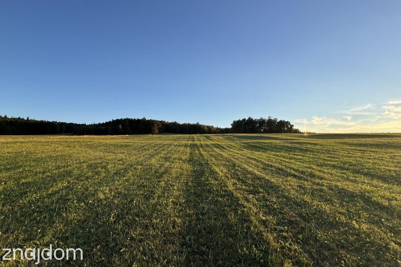 Działka 99a, rol-bud, Smerekowiec, Uście Gorlickie - zdjęcie 12