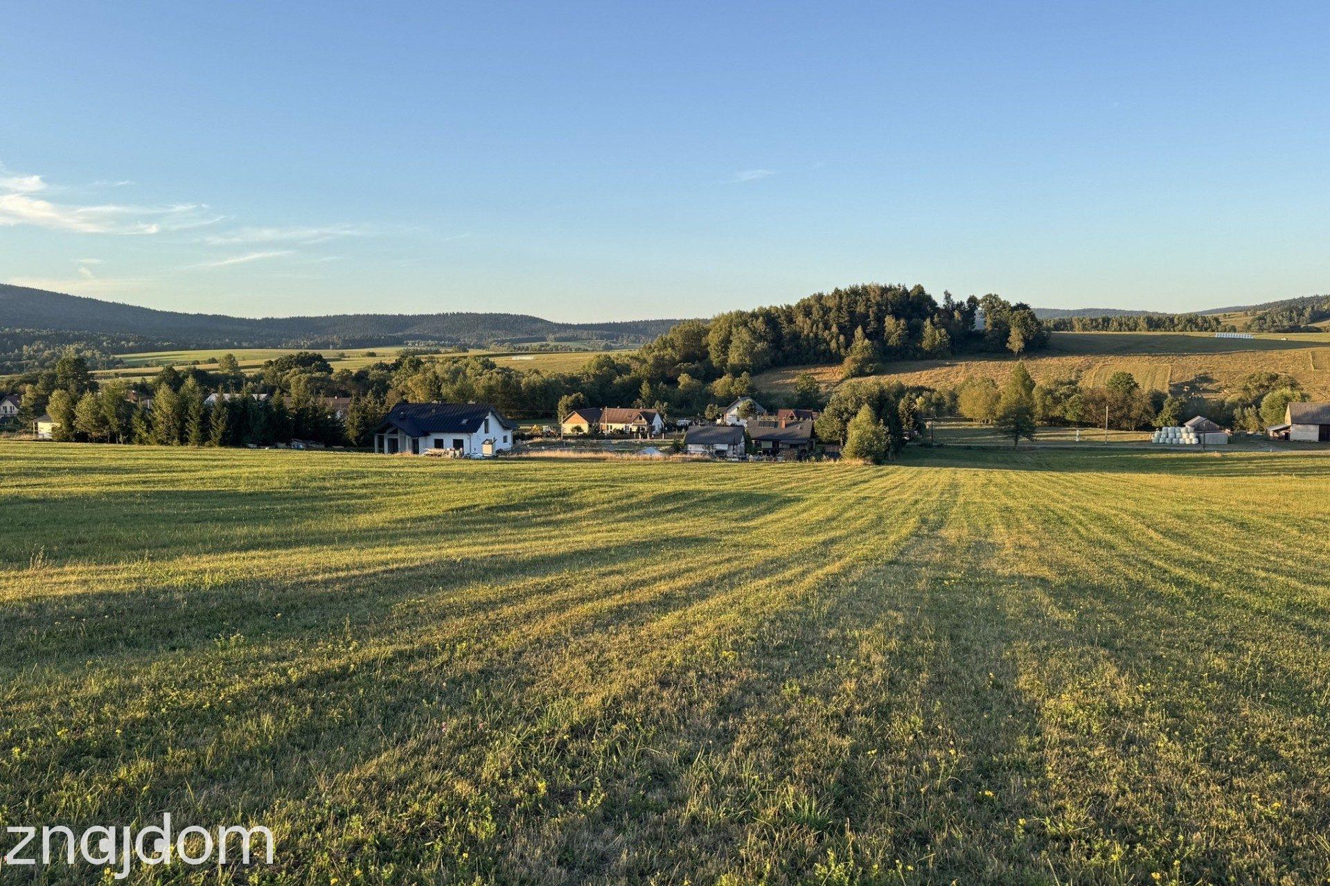 Działka 99a, rol-bud, Smerekowiec, Uście Gorlickie - zdjęcie 4