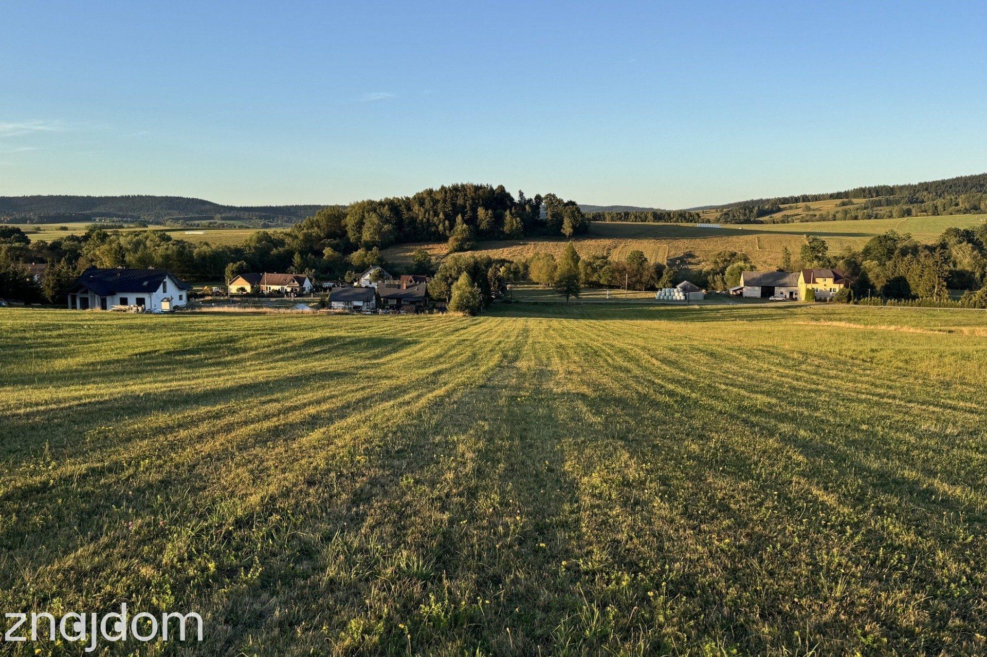 Działka 99a, rol-bud, Smerekowiec, Uście Gorlickie - zdjęcie 5