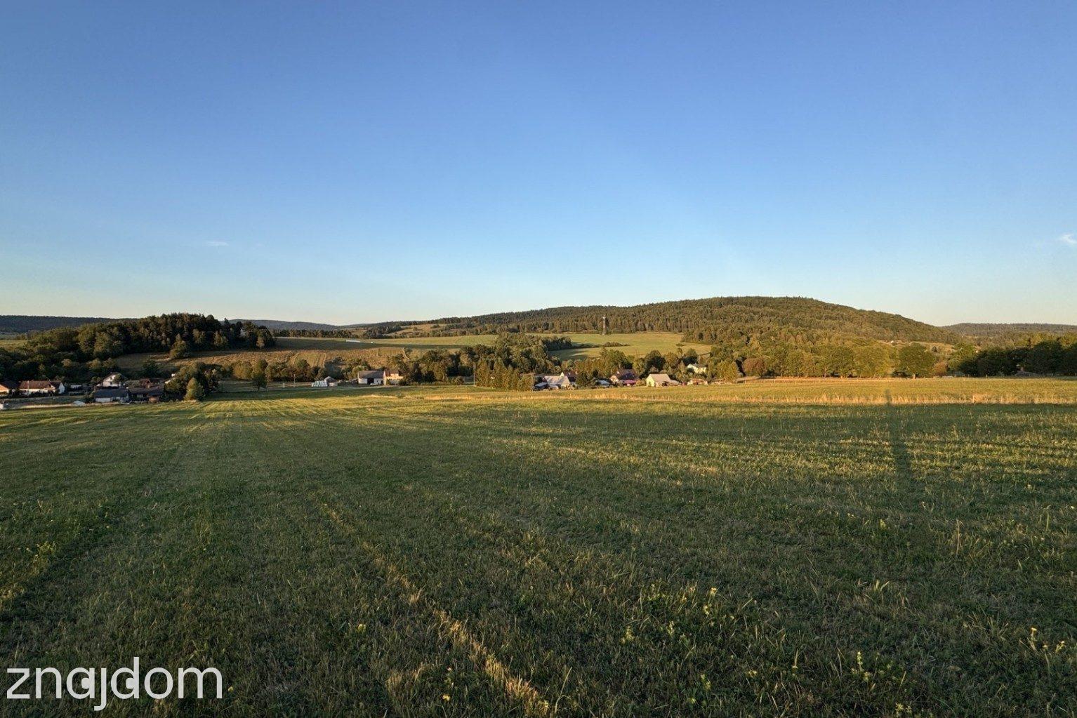 Działka 99a, rol-bud, Smerekowiec, Uście Gorlickie - zdjęcie 7