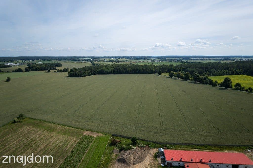 9,01 ha | MPZP: produkcja, logistyka | 1 km od S7 - zdjęcie 12
