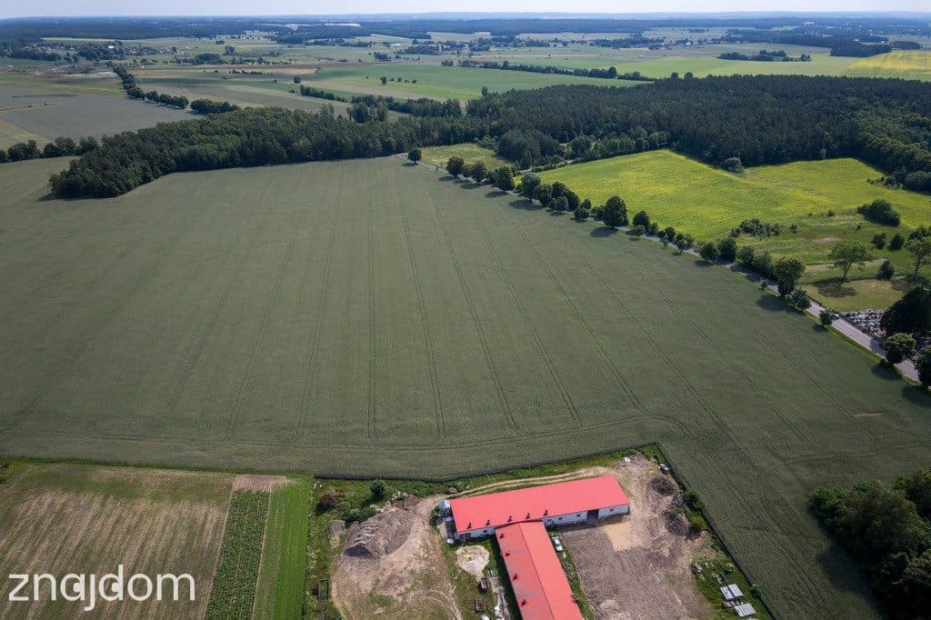 9,01 ha | MPZP: produkcja, logistyka | 1 km od S7 - zdjęcie 6