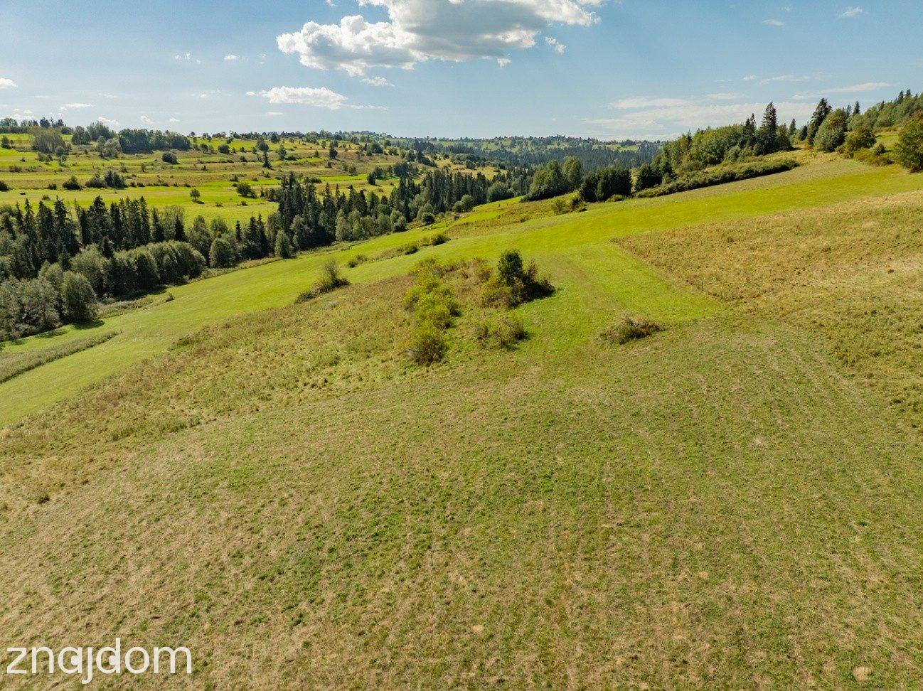 Działka rolna z widokiem na Tatry, Biały Dunajec - zdjęcie 6