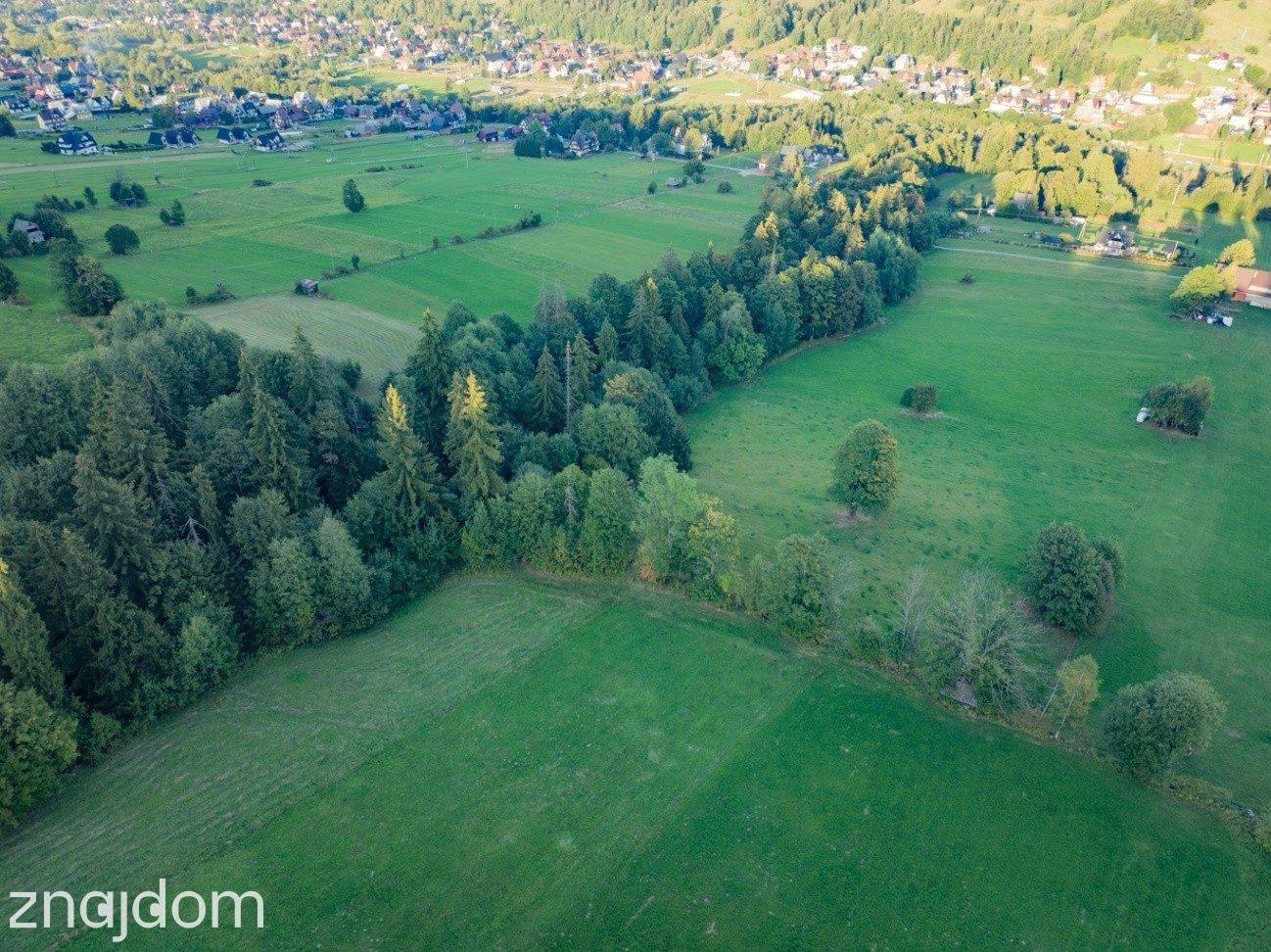 Działka rolna Biały Dunajec Dańkowe - zdjęcie 15