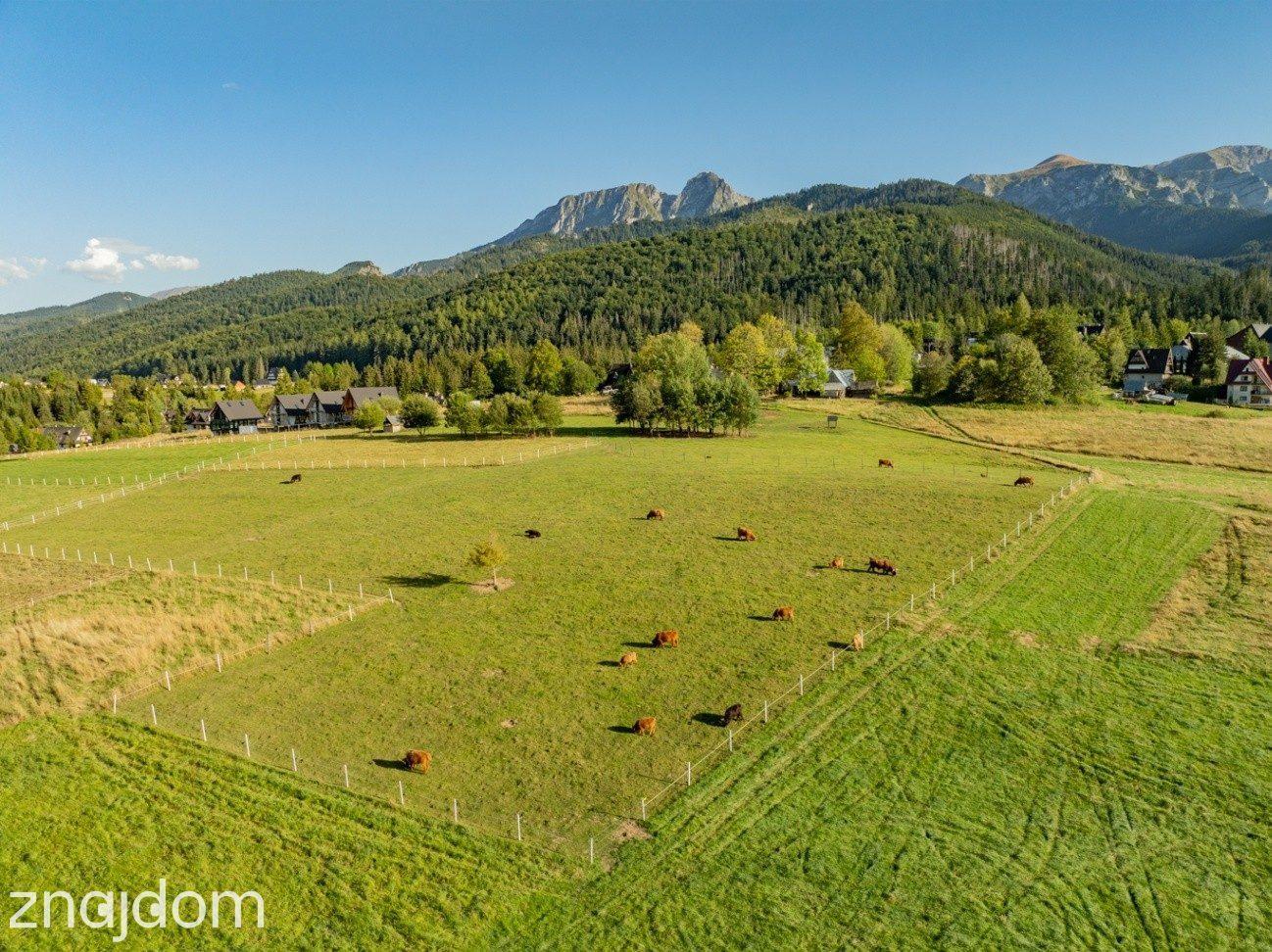 Działka rolna 3115 m² | Kościelisko