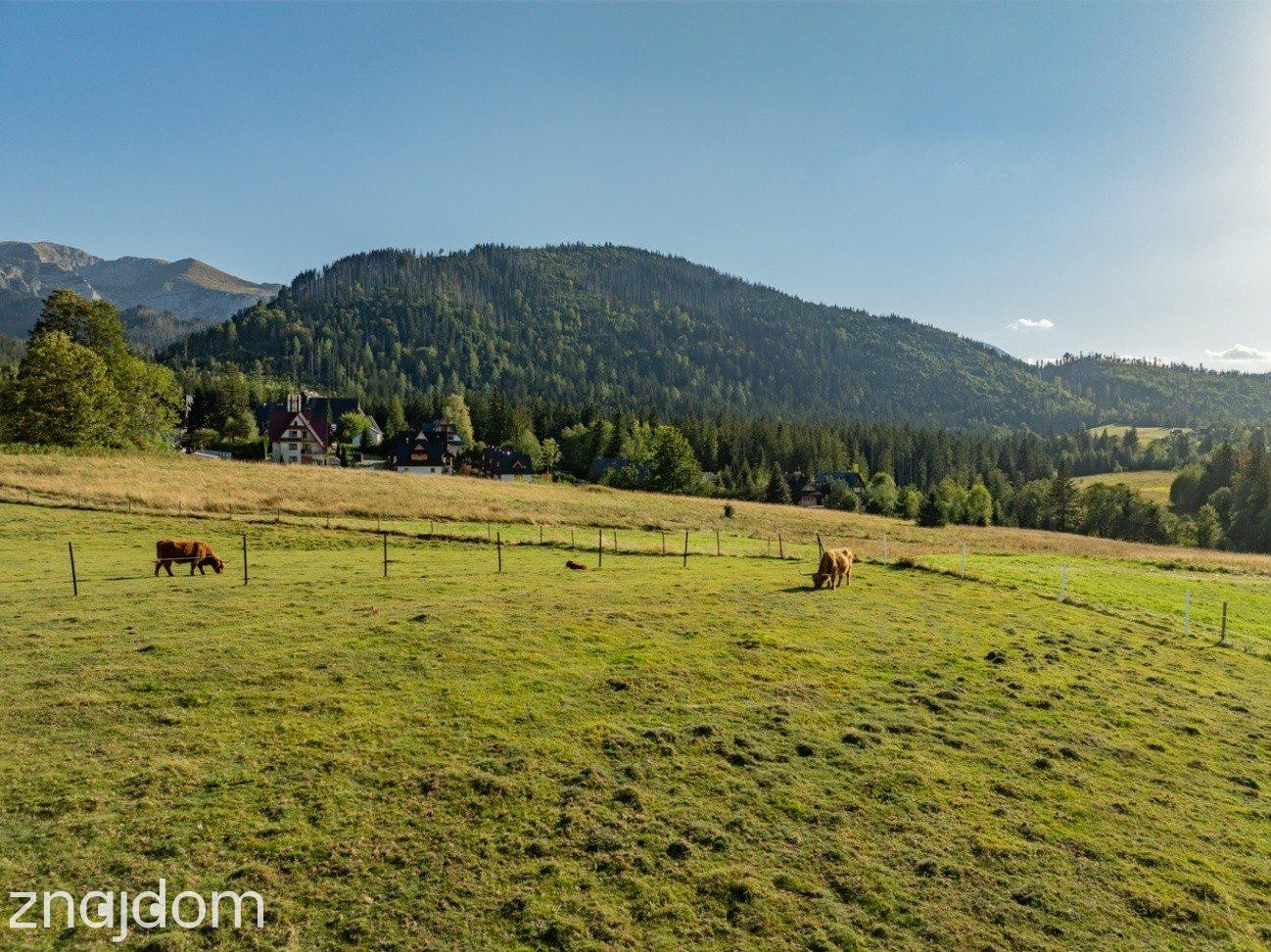 Działka rolna 3115 m² | Kościelisko - zdjęcie 10