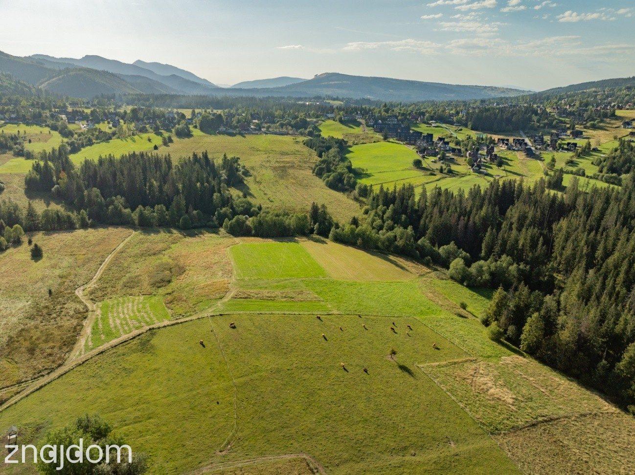 Działka rolna 3115 m² | Kościelisko - zdjęcie 12