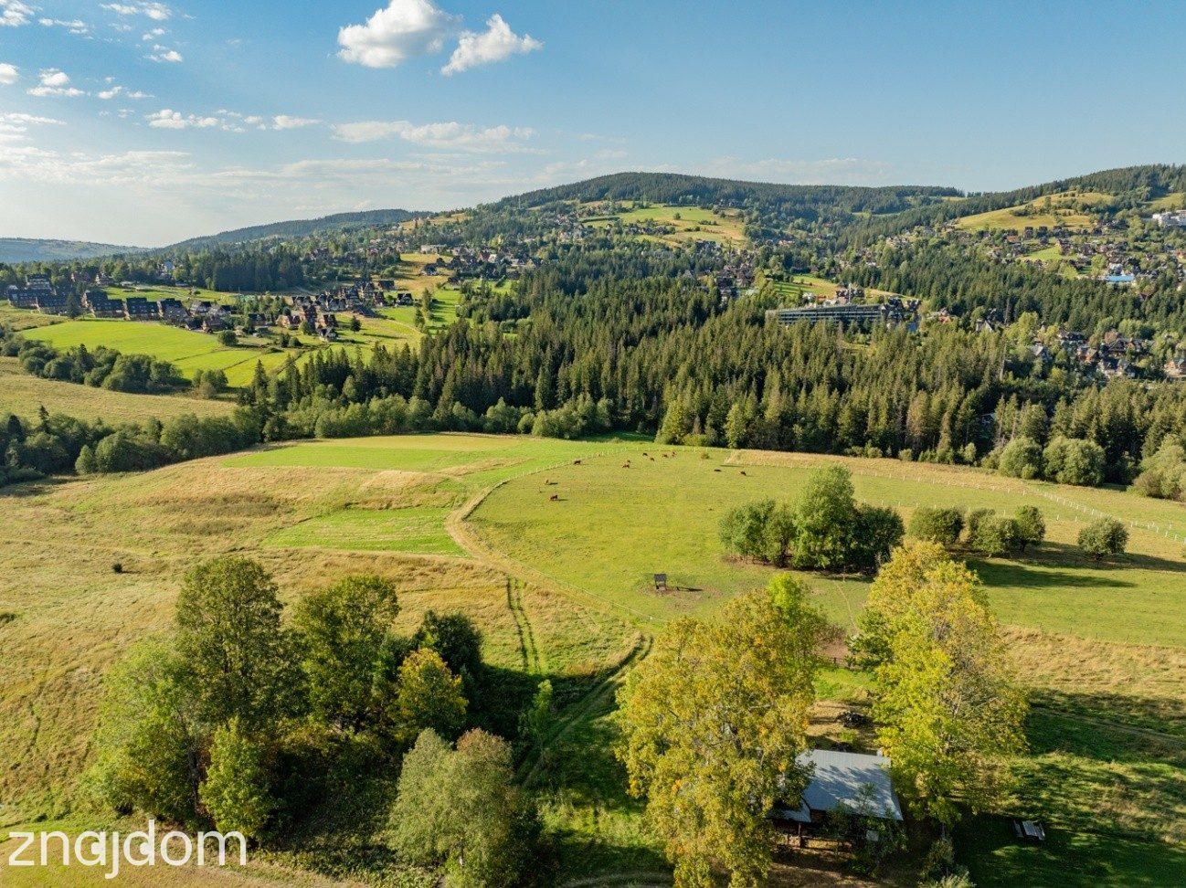 Działka rolna 3115 m² | Kościelisko - zdjęcie 14