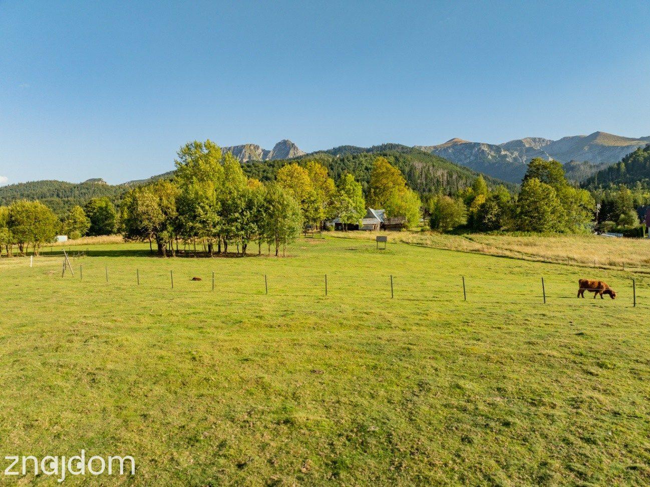 Działka rolna 3115 m² | Kościelisko - zdjęcie 2