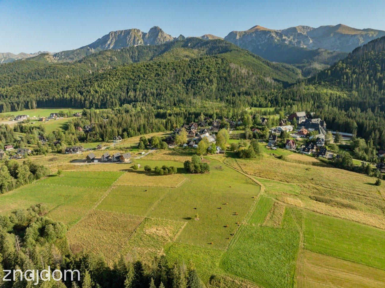 Działka rolna 3115 m² | Kościelisko - zdjęcie 4