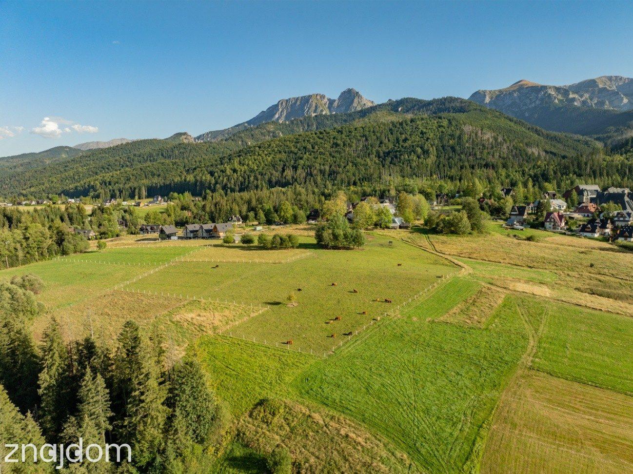 Działka rolna 3115 m² | Kościelisko - zdjęcie 6