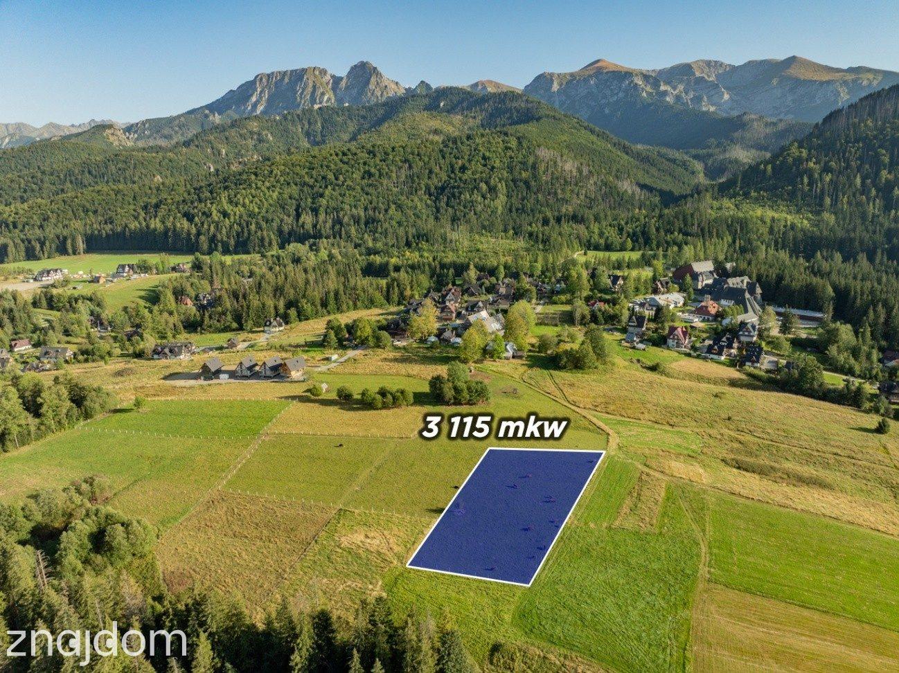 Działka rolna 3115 m² | Kościelisko - zdjęcie 7