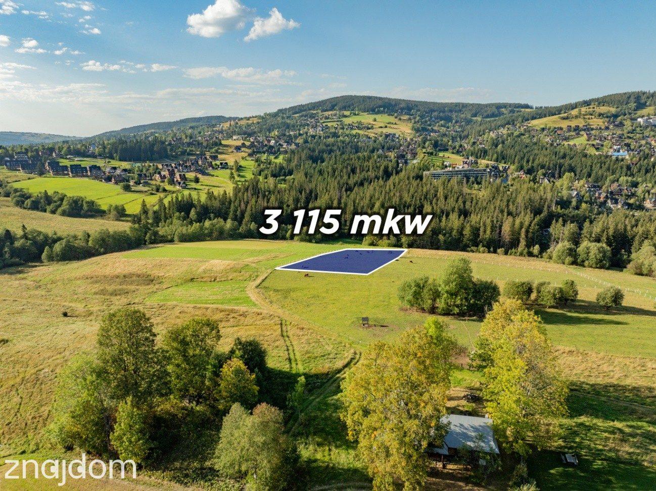 Działka rolna 3115 m² | Kościelisko - zdjęcie 9