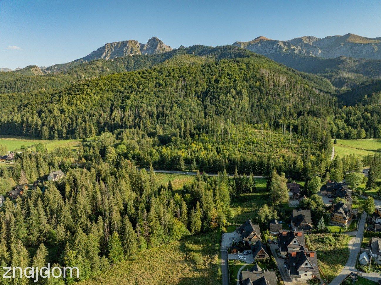 Działka Rolno-Leśna 2784 m² | Kościelisko | Gronik - zdjęcie 14
