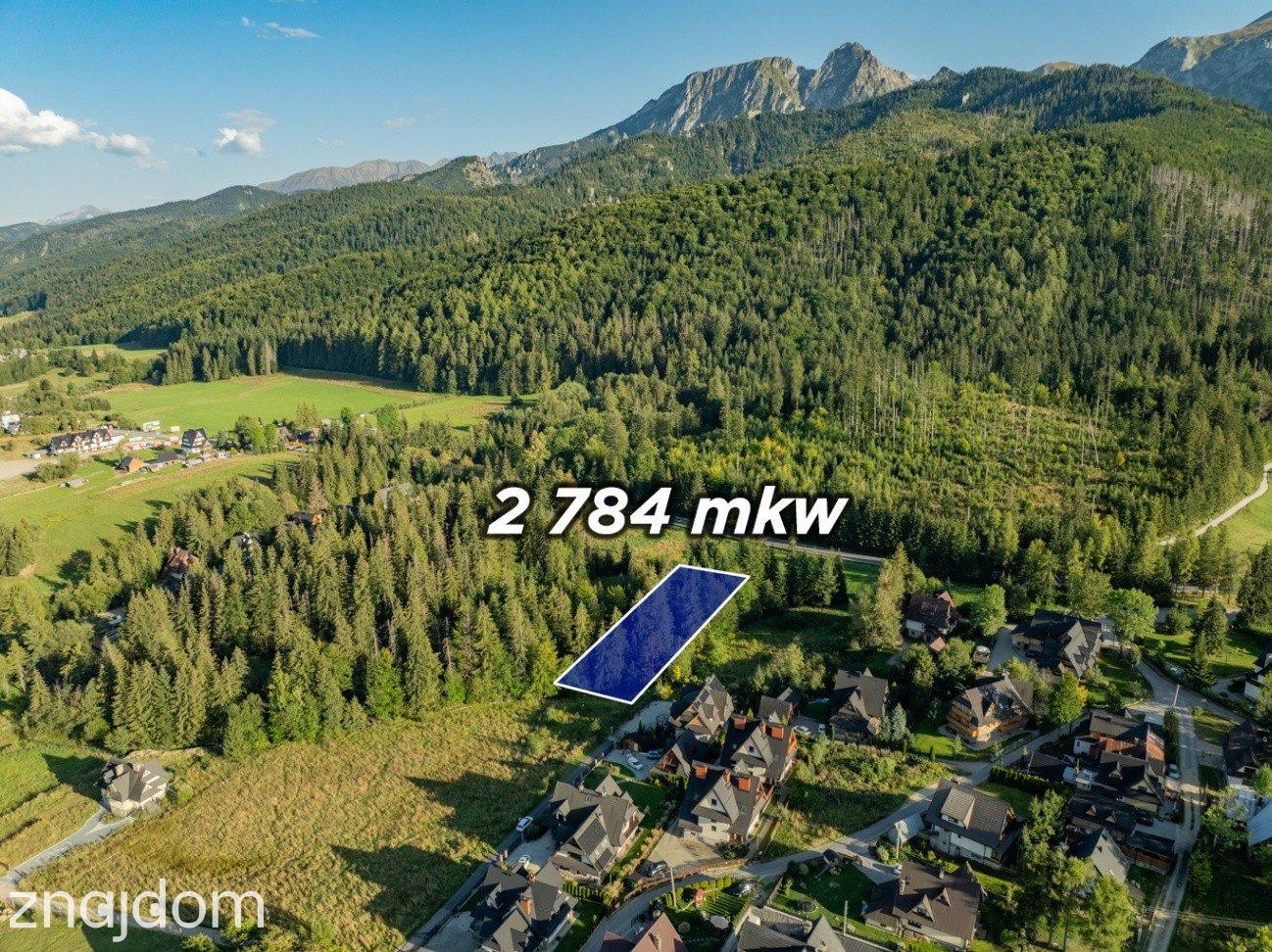 Działka Rolno-Leśna 2784 m² | Kościelisko | Gronik - zdjęcie 6