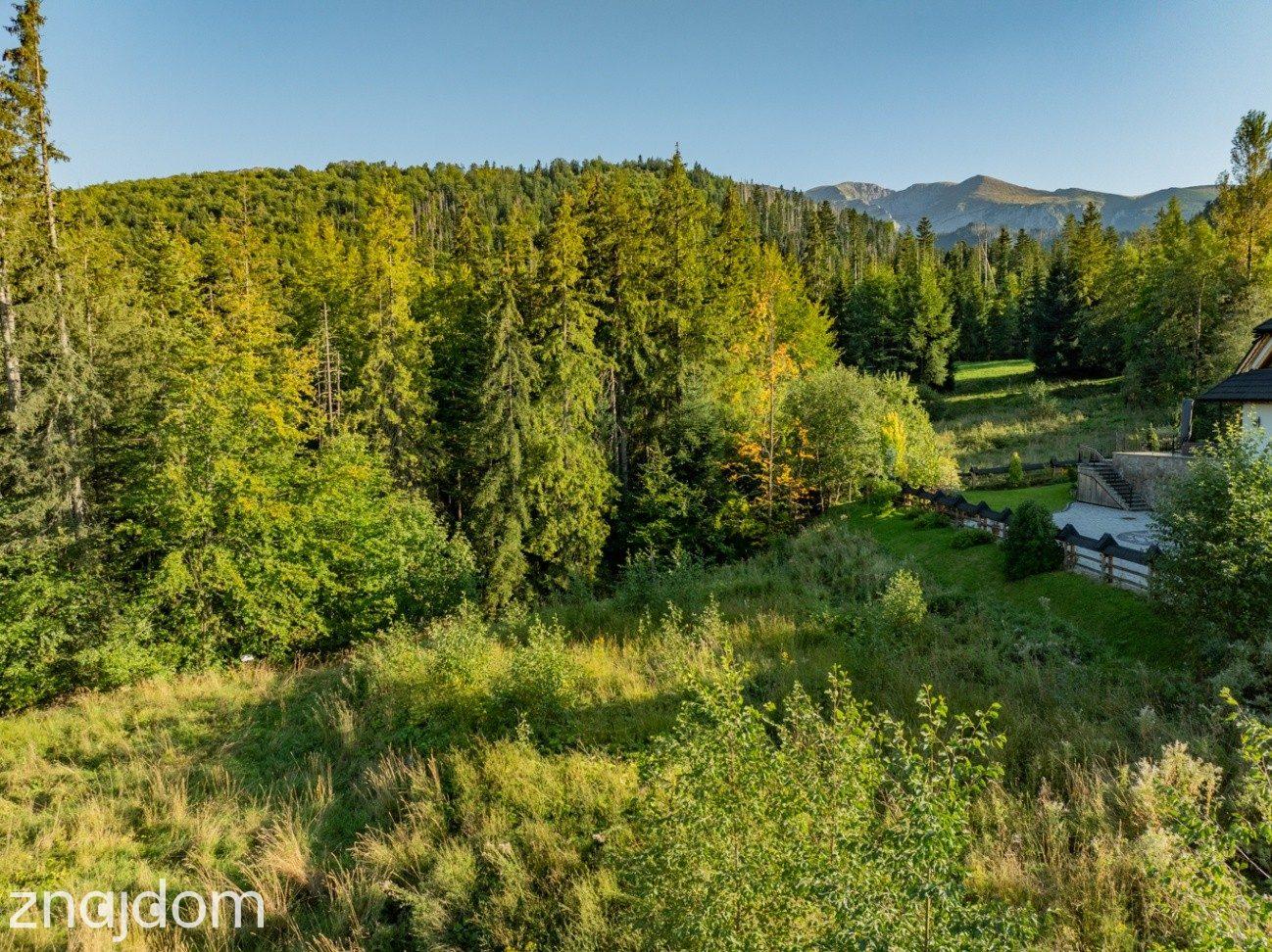 Działka Rolno-Leśna 2784 m² | Kościelisko | Gronik - zdjęcie 8