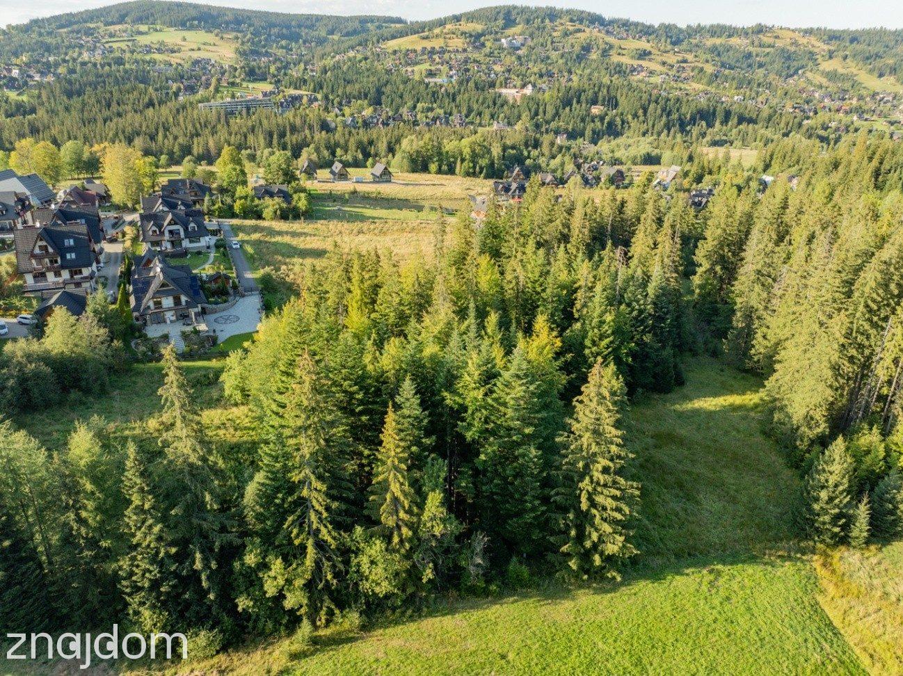 Działka Rolno-Leśna 2784 m² | Kościelisko | Gronik - zdjęcie 9