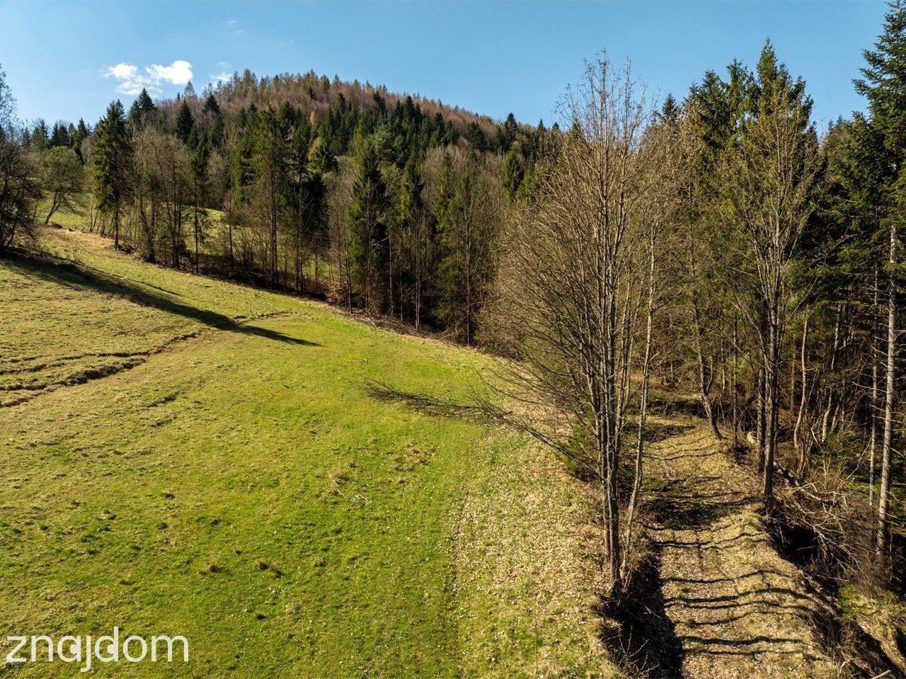 Działka widokowa | Szlachtowa | ok. 4395 m² - zdjęcie 10