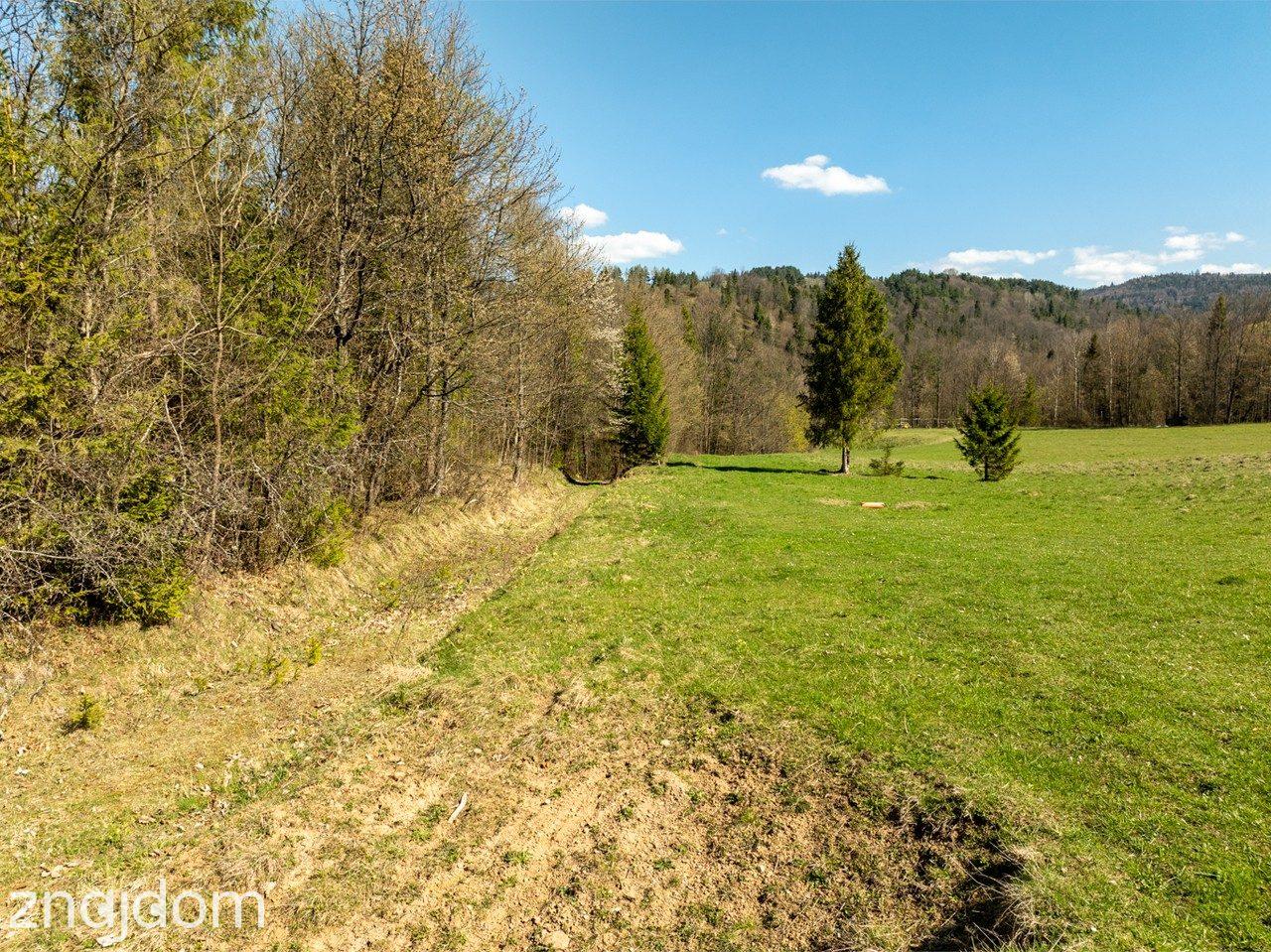 Działka widokowa | Szlachtowa | ok. 4395 m² - zdjęcie 11