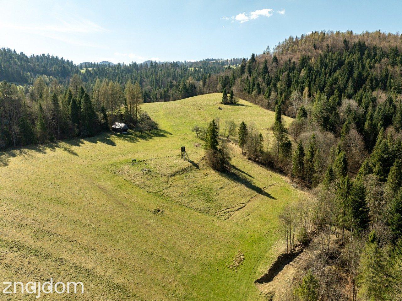 Działka widokowa | Szlachtowa | ok. 4395 m² - zdjęcie 14