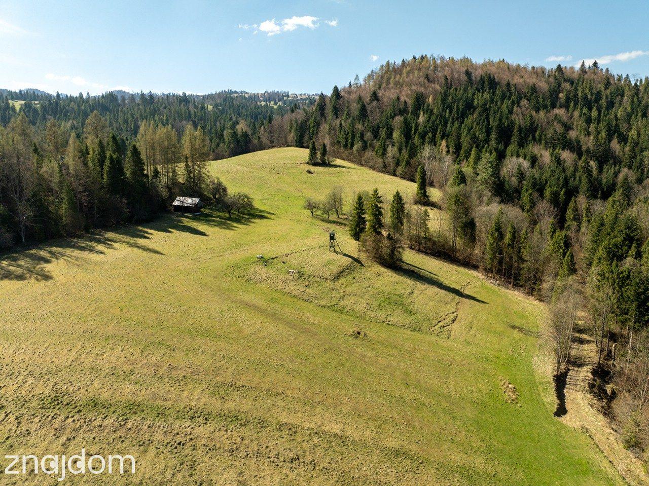Działka widokowa | Szlachtowa | ok. 4395 m² - zdjęcie 15