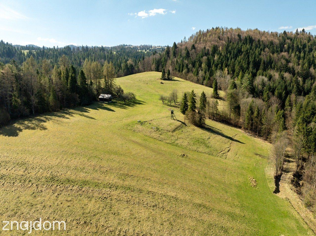 Działka widokowa | Szlachtowa | ok. 4395 m² - zdjęcie 16
