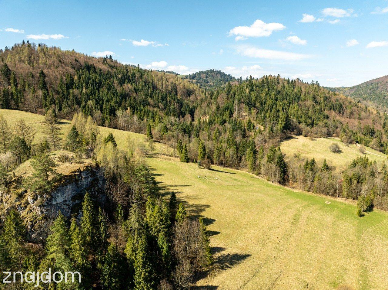 Działka widokowa | Szlachtowa | ok. 4395 m² - zdjęcie 17