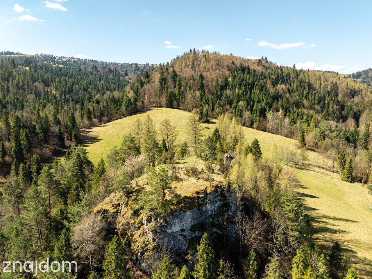 Działka widokowa | Szlachtowa | ok. 4395 m² - zdjęcie 19