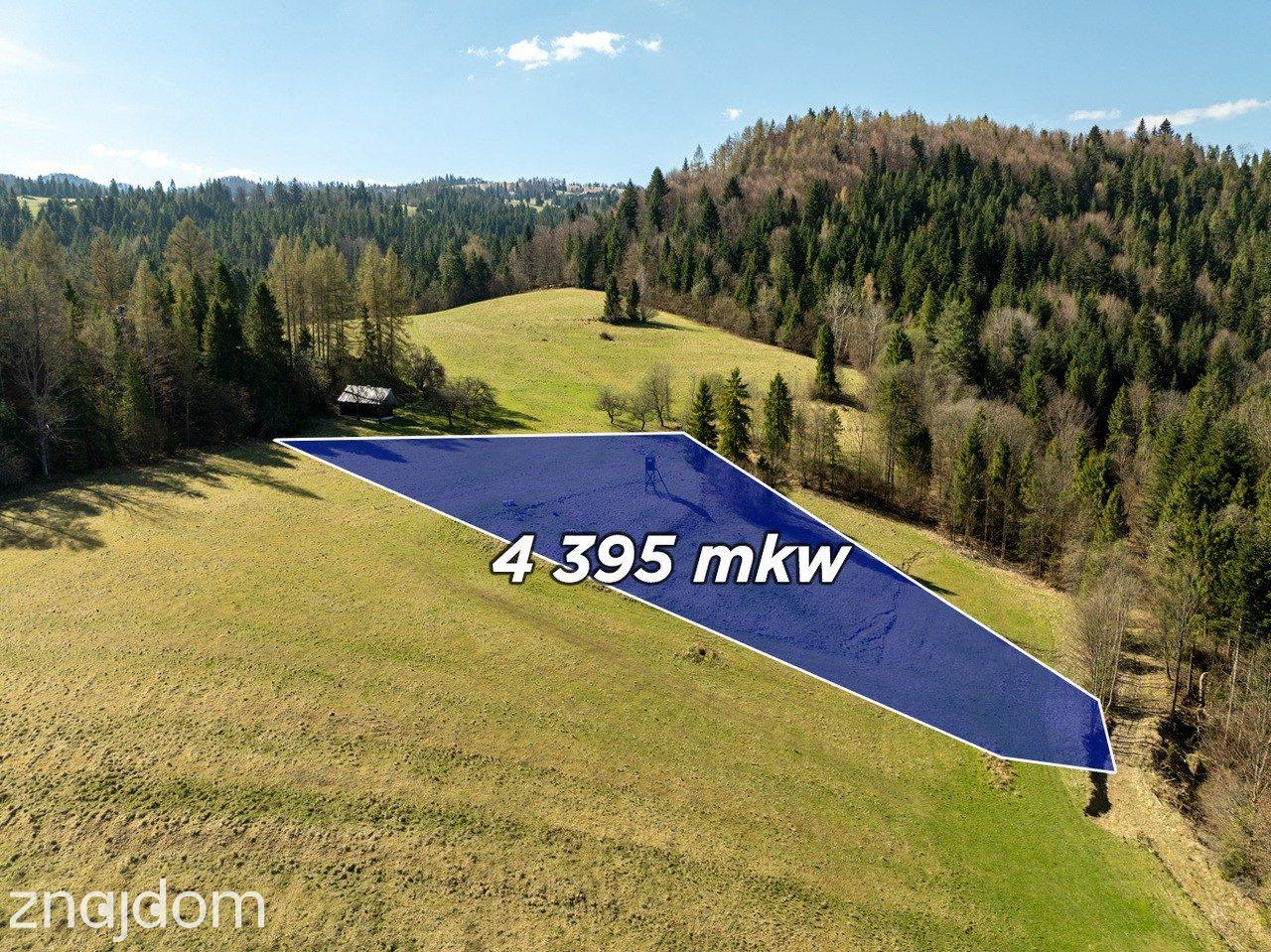 Działka widokowa | Szlachtowa | ok. 4395 m² - zdjęcie 2