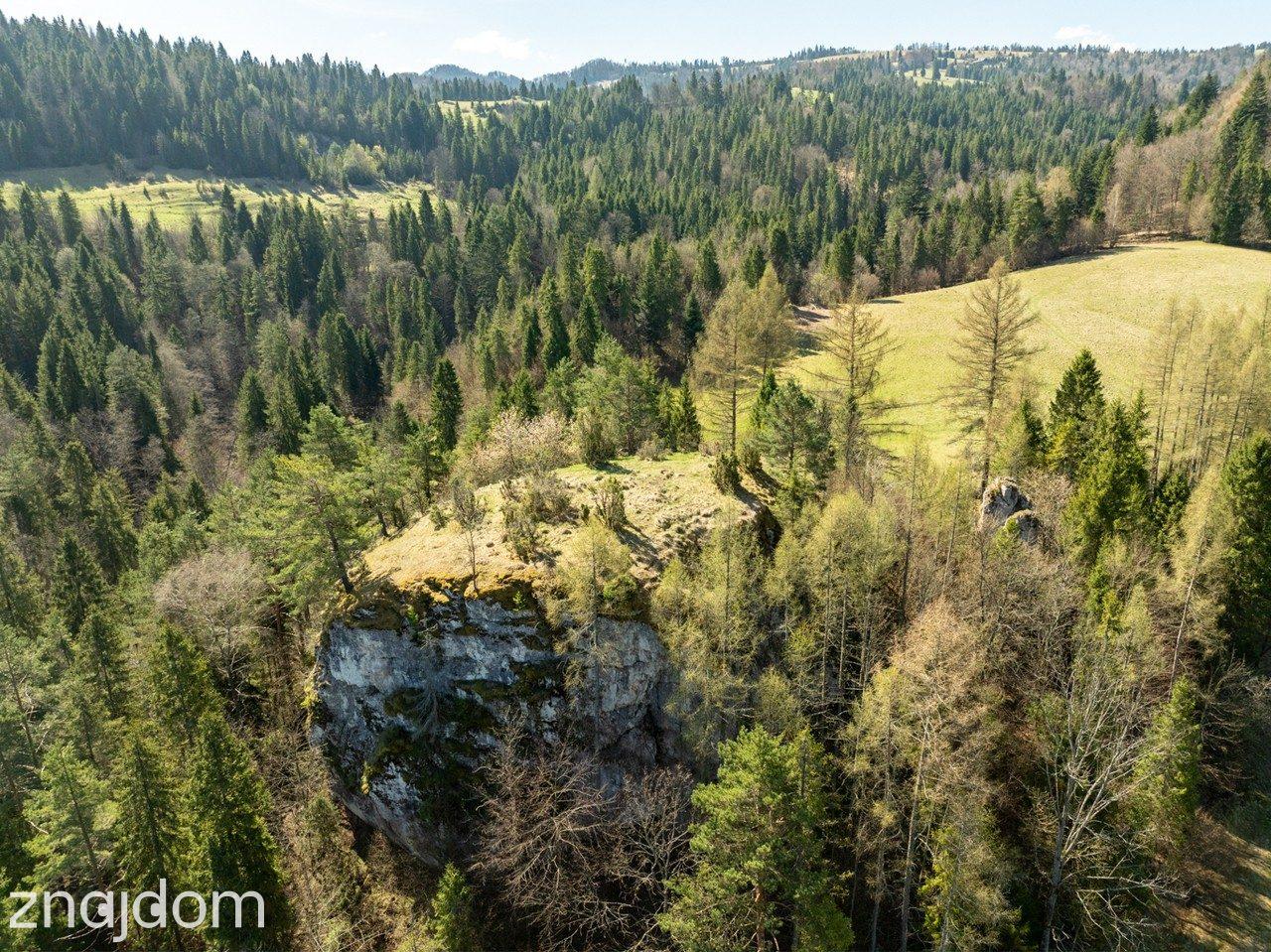 Działka widokowa | Szlachtowa | ok. 4395 m² - zdjęcie 21