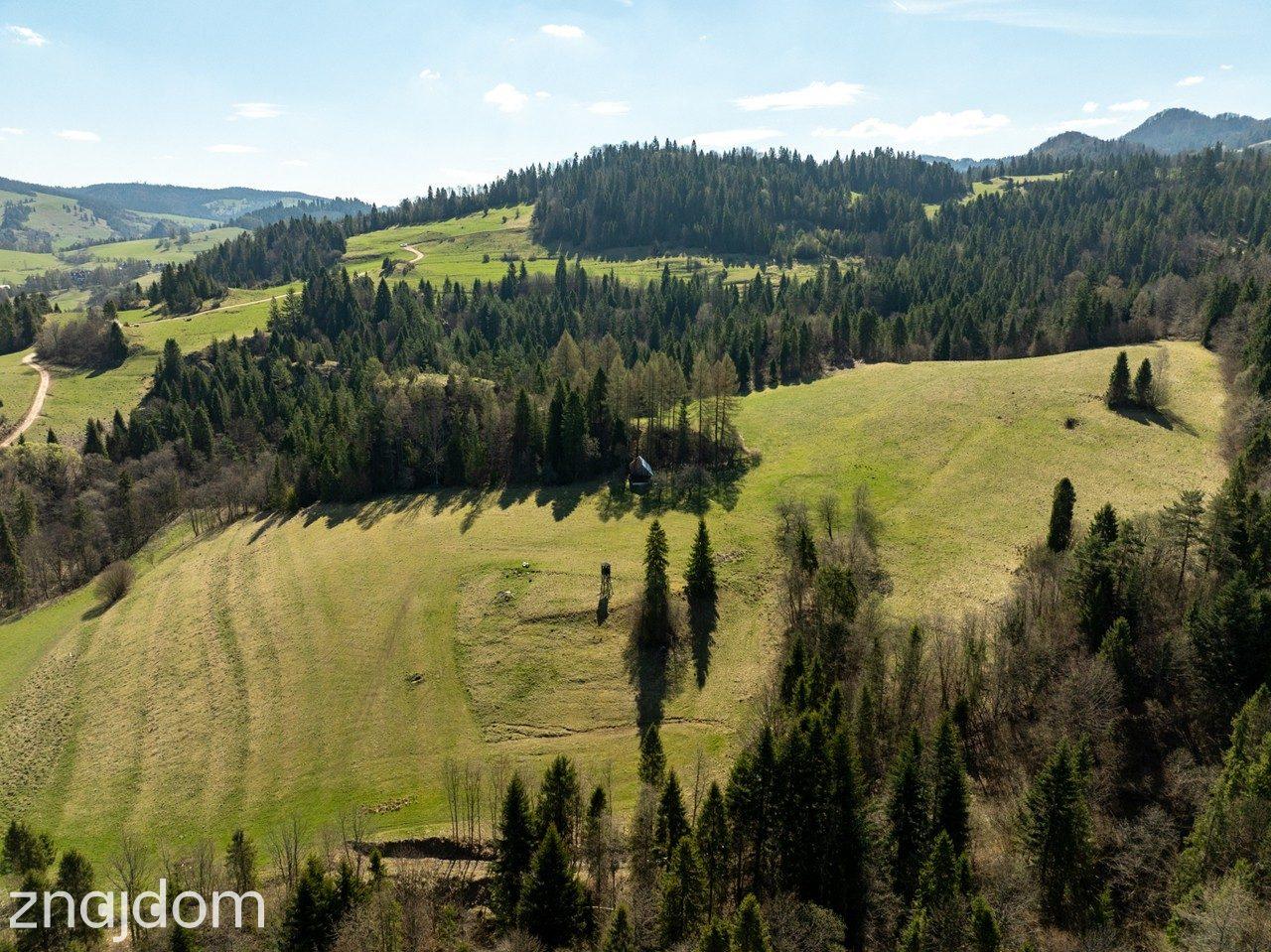 Działka widokowa | Szlachtowa | ok. 4395 m² - zdjęcie 5